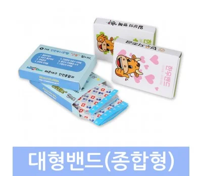 케이스밴드 종합형