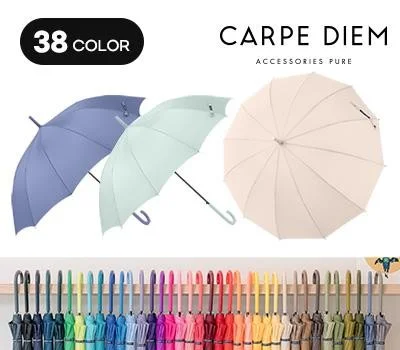 카르페디엠 스마트 12K곡자 장우산