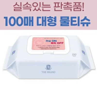 더브랜드 100매 물티슈