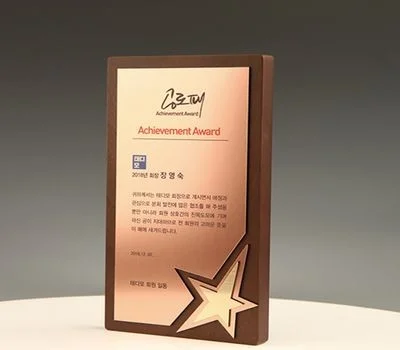 송공 기업 기념 감사패 E5226